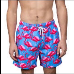 The Endless Summer Men’s Flamingo Swim Trunks